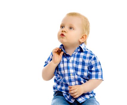 A little boy in a plaid shirt and jeans