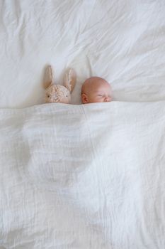 Newborn and plush rabbit tucked into a cozy white bed
