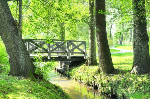 Rural landscape. Green park at summer.