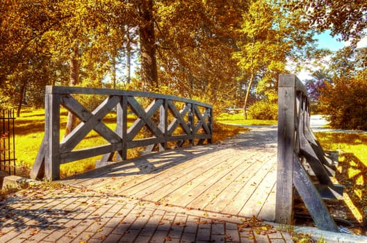 Autumn scenery. Beautiful gold fall in park.