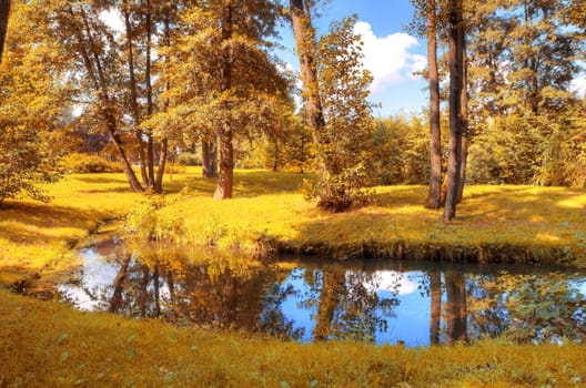 Autumn scenery. Beautiful gold fall in park.