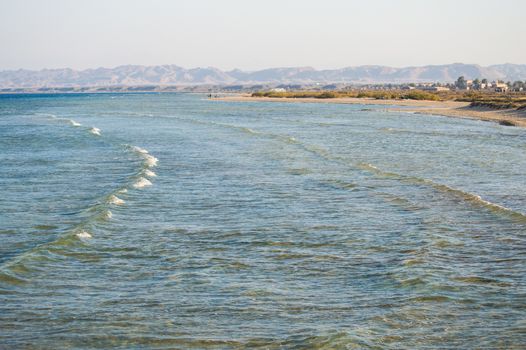the windy beaches of the Red Sea