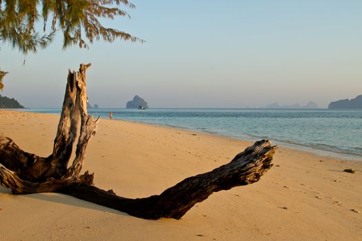 Old piece of wood at the beach in thailand in summer