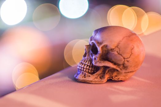 Skull on cement wall with light bokeh background