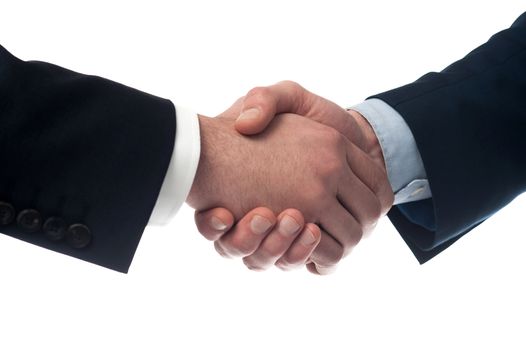Close up image of businessmen handshake 