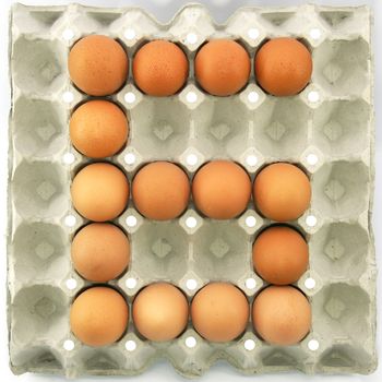 Number six of eggs in the paper package tray