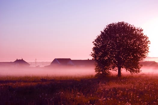 Sunrise. Picture of sunrise in summer rural.