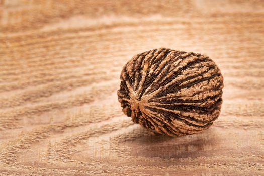 black walnut - a single nut against cedar wood plank with a copy space