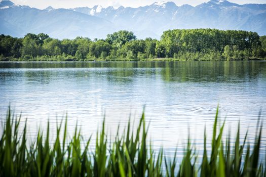 Tranquil, peaceful scene of a lake surrounded by trees and vegetation