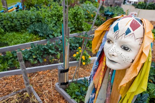 This hand painted scupture of a head was found in a local community garden in St Kilda, Melbourne.