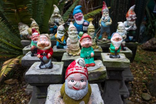 a group of colourful garden gnomes found in a cummunity garden in St Kilda, Melbourne.