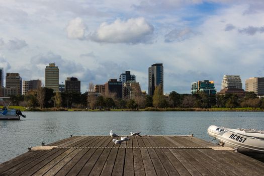 A shot taken of Melbourne from Albert Park Lake, with a pier and seaguls in the foreground.