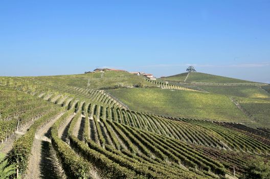 the land of barolo wine, italy