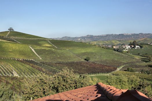 the land of barolo wine, italy