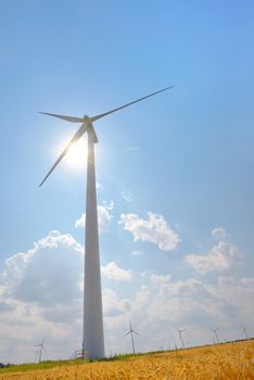 Wind Turbines in wind farm field