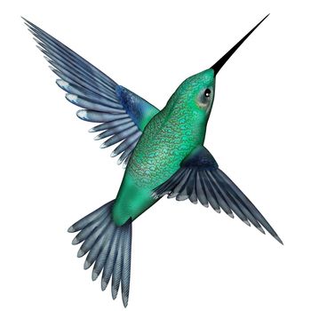 Emerald hummingbird flying isolated in white background - 3D render