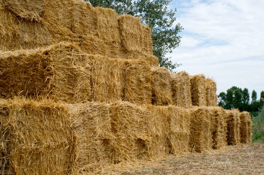 The large bales of straw stacked laid.