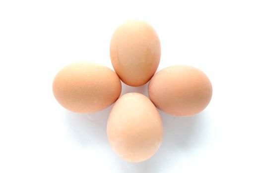 Four eggs on white background