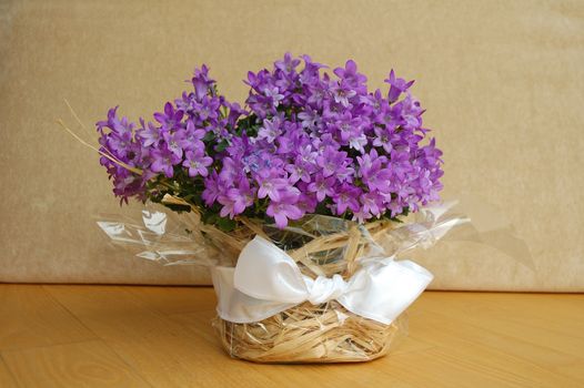Violet flowers in decorated flowerpot