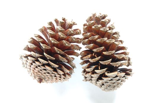 Two cones on white background