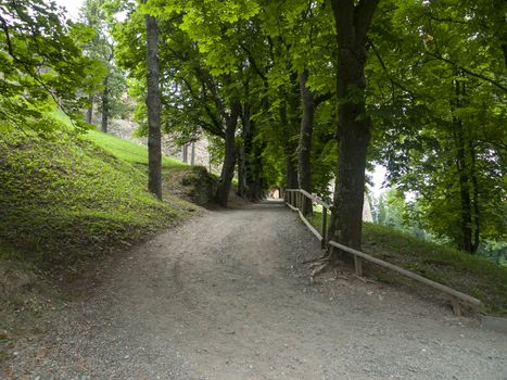 Road to Castle in Slovakia