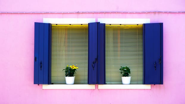 Two blue Windows with white frame in Burano on pastel pink color wall building architecture, Venice, Italy