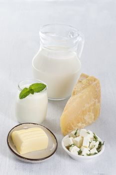 dairy product milk, cottage cheese, yogurt