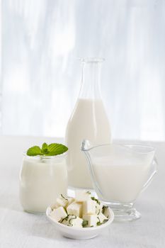 Dairy Products,  Includes: Milk, Various Types of Cheese, Butter, Ricotta and Yogurt..