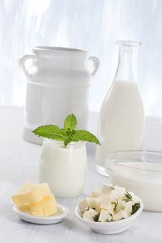 Dairy Products,  Includes: Milk, Various Types of Cheese, Butter, Ricotta and Yogurt..