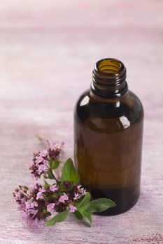 bodycare and healthcare -essential oil of oregano