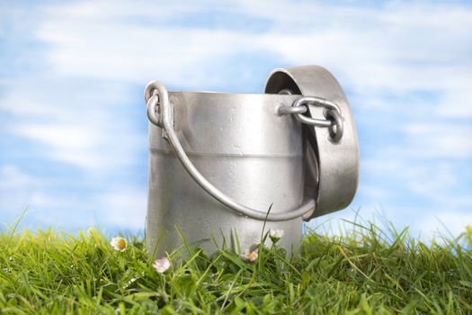 Old style milk jug, on the grass with cflowers  the sky with clouds on the background.