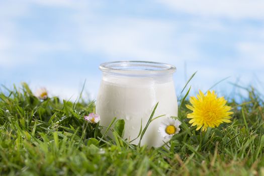 Greek yogurt in a glass jars on the grass with cflowers  the sky with clouds on the background.