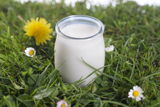 Greek yogurt in a glass jars on the grass with flowers  the sky with clouds on the background.