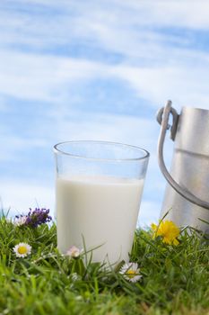 Vintage milk churn and glass of milk on the grass with cflowers  the sky with clouds on the background.
