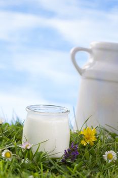 jar of yogurt and ceramic milk jug on the grass with flowers  the sky with clouds on the background.