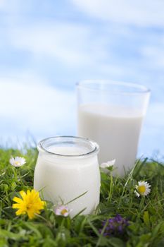 glass of milk with jar of yogurt on the grass with cflowers  the sky with clouds on the background.