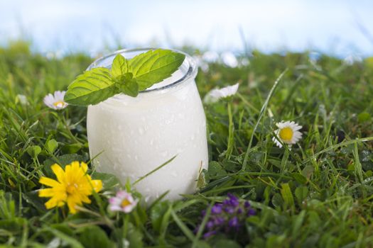 bowl of yoghurt with mint leaf on the grass with cflowers  the sky with clouds on the background.