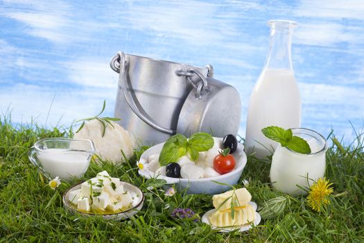 Dairy Products,  Includes: Milk, Various Types of Cheese, Butter, Ricotta, Yogurt and Old style milk jug on the grass with cflowers  the sky with clouds on the background.