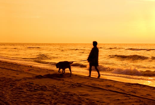 Active conceptual image. Walking with the dog on the beach