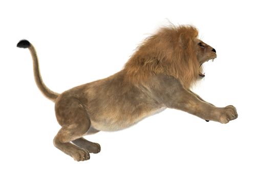 3D digital render of a male lion isolated on white background