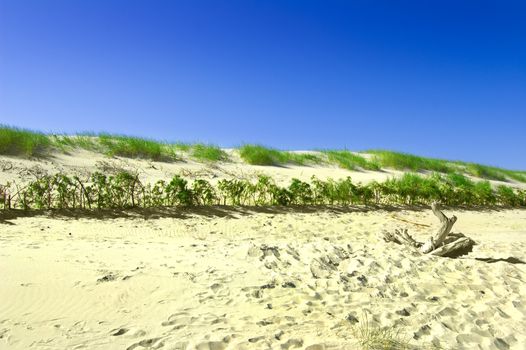 Dunes conceptual image. Dunes and grass with clean blue sky.