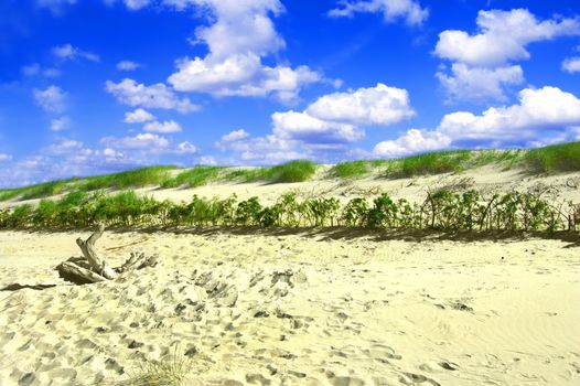 Dunes conceptual image. Dunes and grass with clean blue sky.