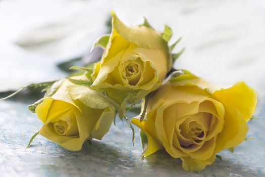 yellow rose laying on table