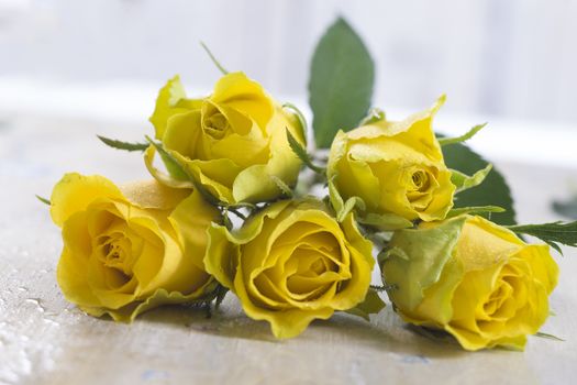 yellow rose laying on table