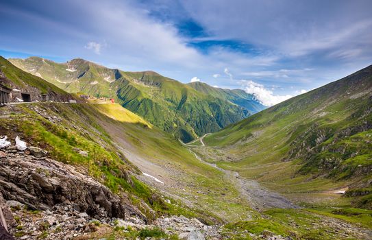 Transfagarasan mountain road with wild flowers from Romaniacovered with fog