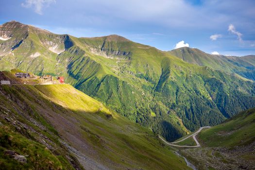 Transfagarasan mountain road with wild flowers from Romaniacovered with fog