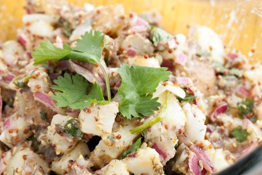 Potato salad freshly homemade without mayonaise.  Ingredients include cilantro olive oil vinegar whole grain dijon mustard red onions and potatoes. 