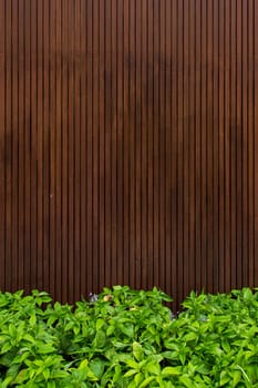 Wooden with green leaf background