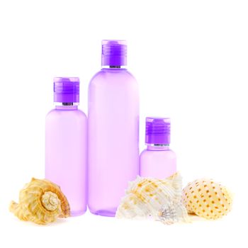 Nature skeleton shell with purple bottle in spa profile, isolated on white background