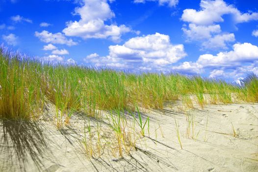 Dunes conceptual image. Dunes and grass with clean blue sky.